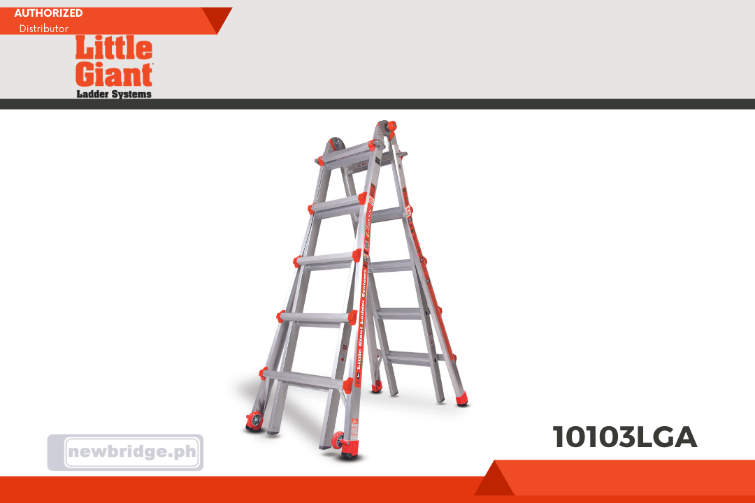 10103LG CLASSIC CLASSIC, Model 22 - ANSI Type IA - 300 lb Rated, Aluminum Articulated Extendable Ladder